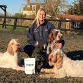 Hack up bespoke team