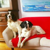 Hack up bespoke team