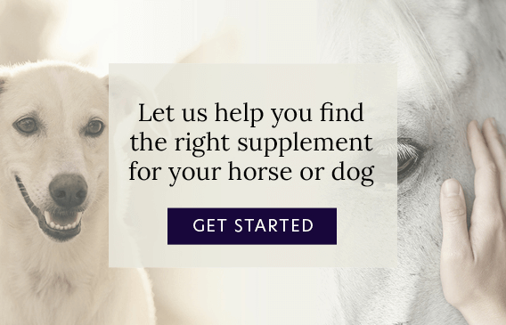 Hack up bespoke team